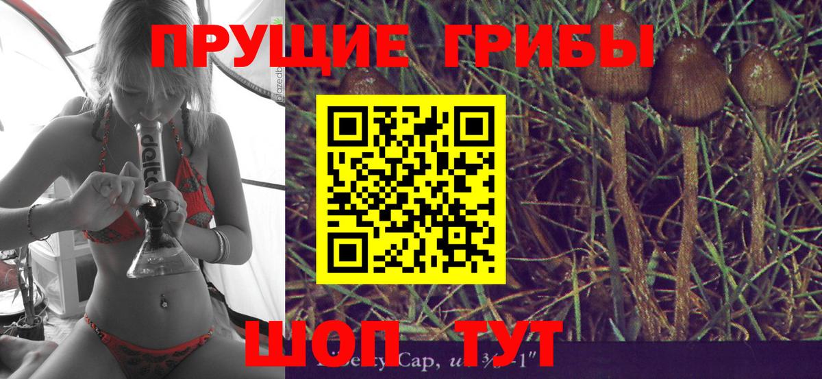 Псилоцибиновые грибы Cubensis  Псилоцибиновые грибы мицелий  Вход с VPN  Петропавловск-Камчатский 