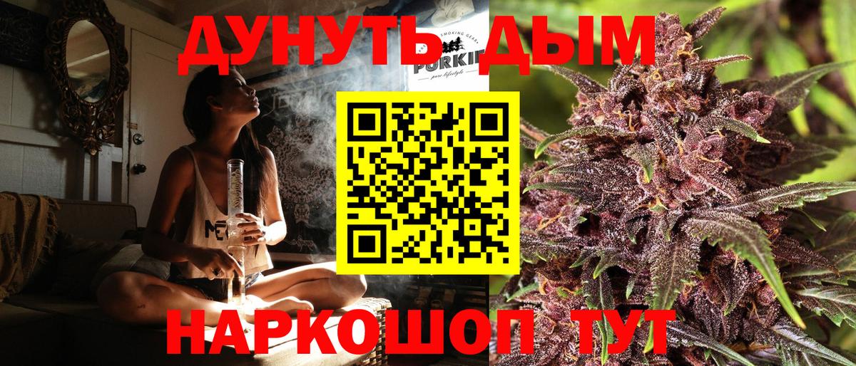 Бошки Шишки планчик Петропавловск-Камчатский